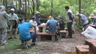 定例作業報告（人工林グループ）
