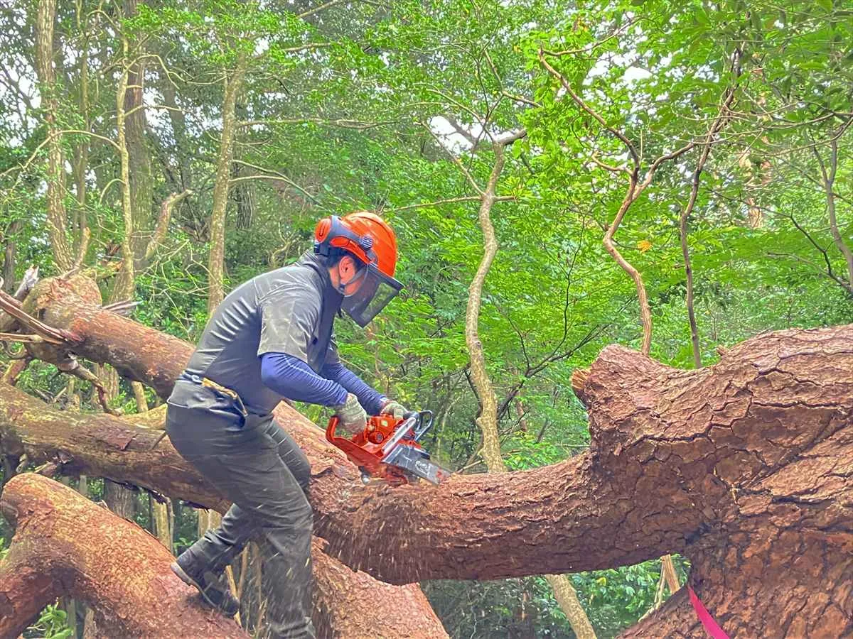 臨時作業報告（猿投山山頂の枯死木伐倒） - 公益社団法人 日本山岳会