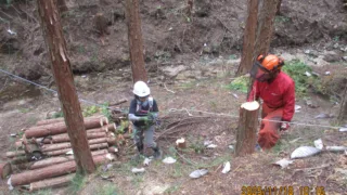 定例作業報告(東大演習林)