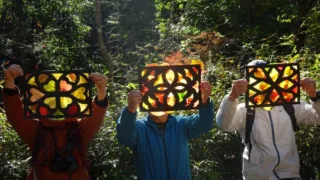 第176回 やまじの森 自然観察会報告