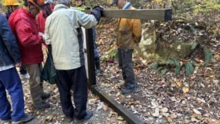 定例活動報告(雑木林グループ)