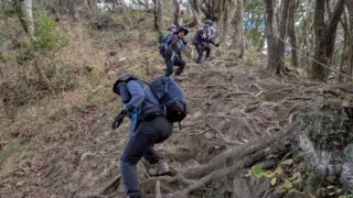 支部友山行 沼津アルプス(大平山353m~鷲頭山392m~徳倉山256m)