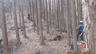 定例作業報告（東大演習林）