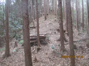 猿投の森づくりの会　2026年2月活動スケジュール