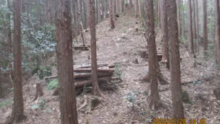 猿投の森づくりの会　2026年2月活動スケジュール