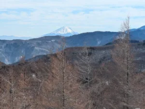 同窓会山行　スノーハイク　入笠山（1954ｍ）　2026/02/14