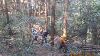 定例作業報告（人工林グループ）