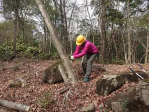 定例作業報告（雑木林グループ）