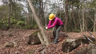 定例作業報告（雑木林グループ）