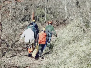 定例作業報告（雑木林グループ）