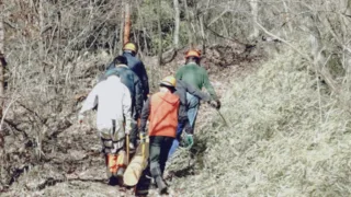 定例作業報告（雑木林グループ）