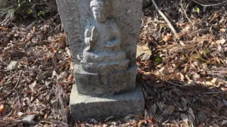 冬のひまわり登山